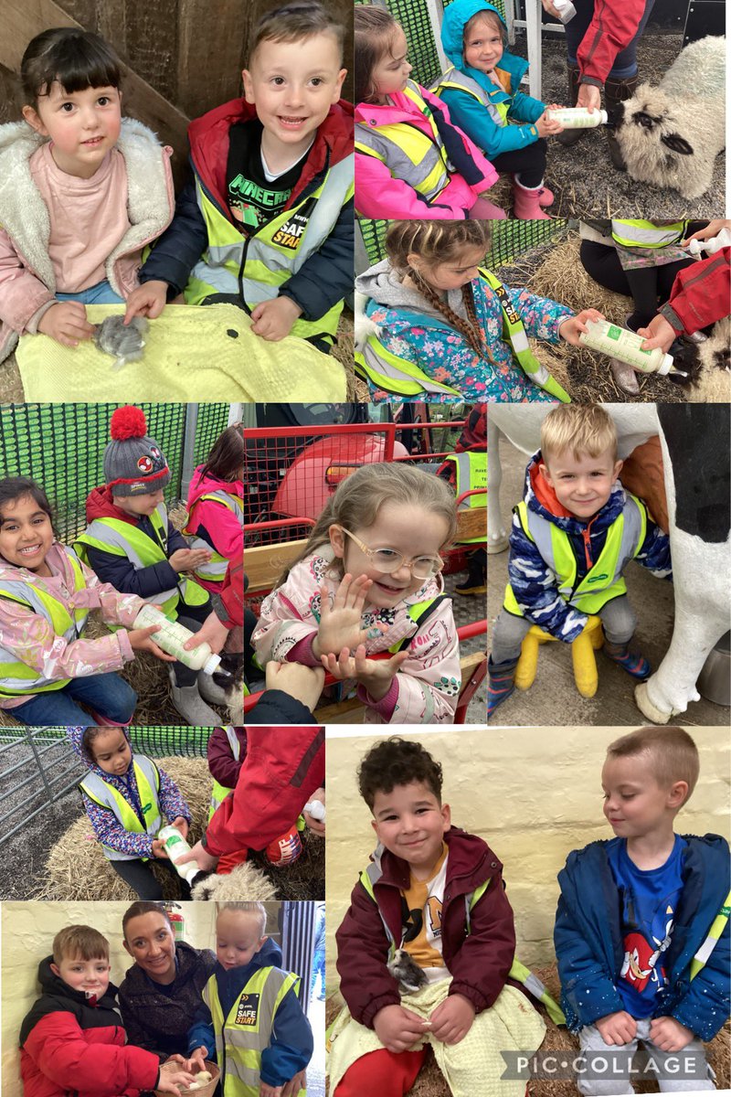 RTPS_EYFS tweet media