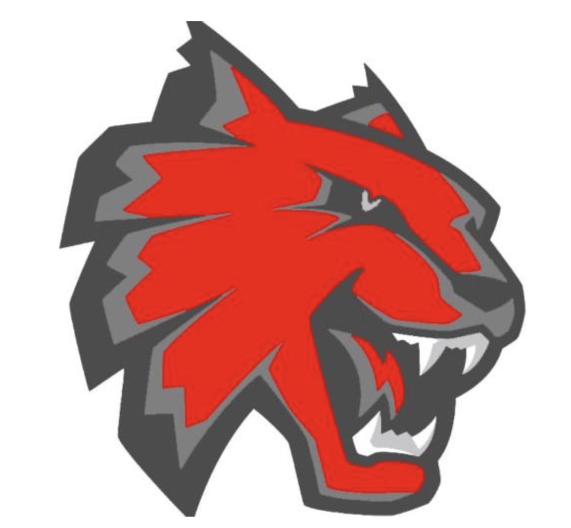 Pickel’s Helmet Builds tweet media