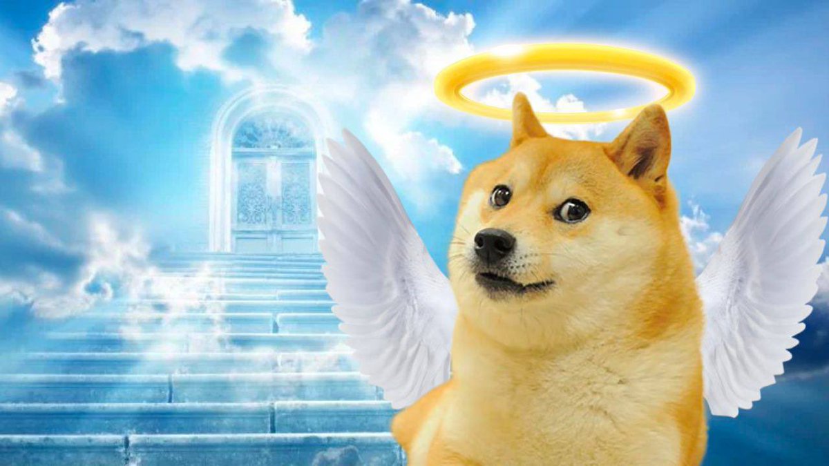 KABOCHAN ON SOL tweet media