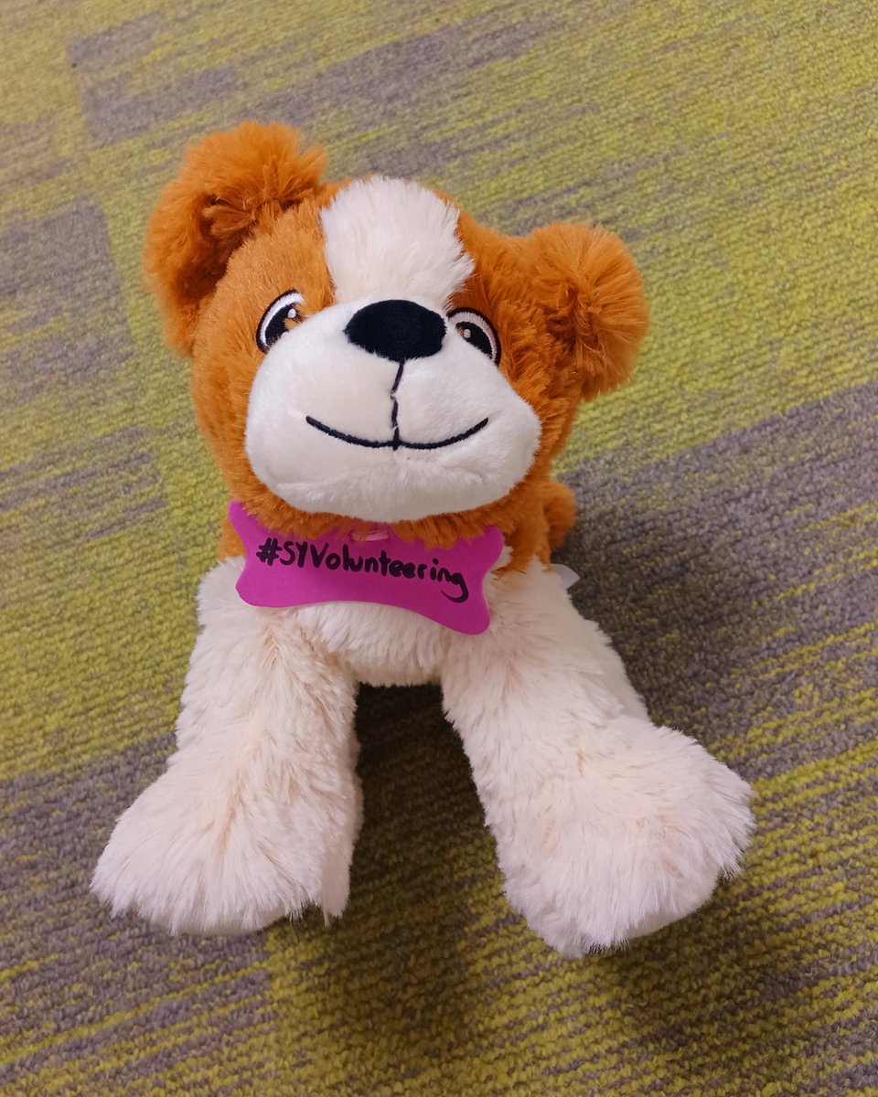 Sheffield Teaching Hospitals Volunteers tweet media