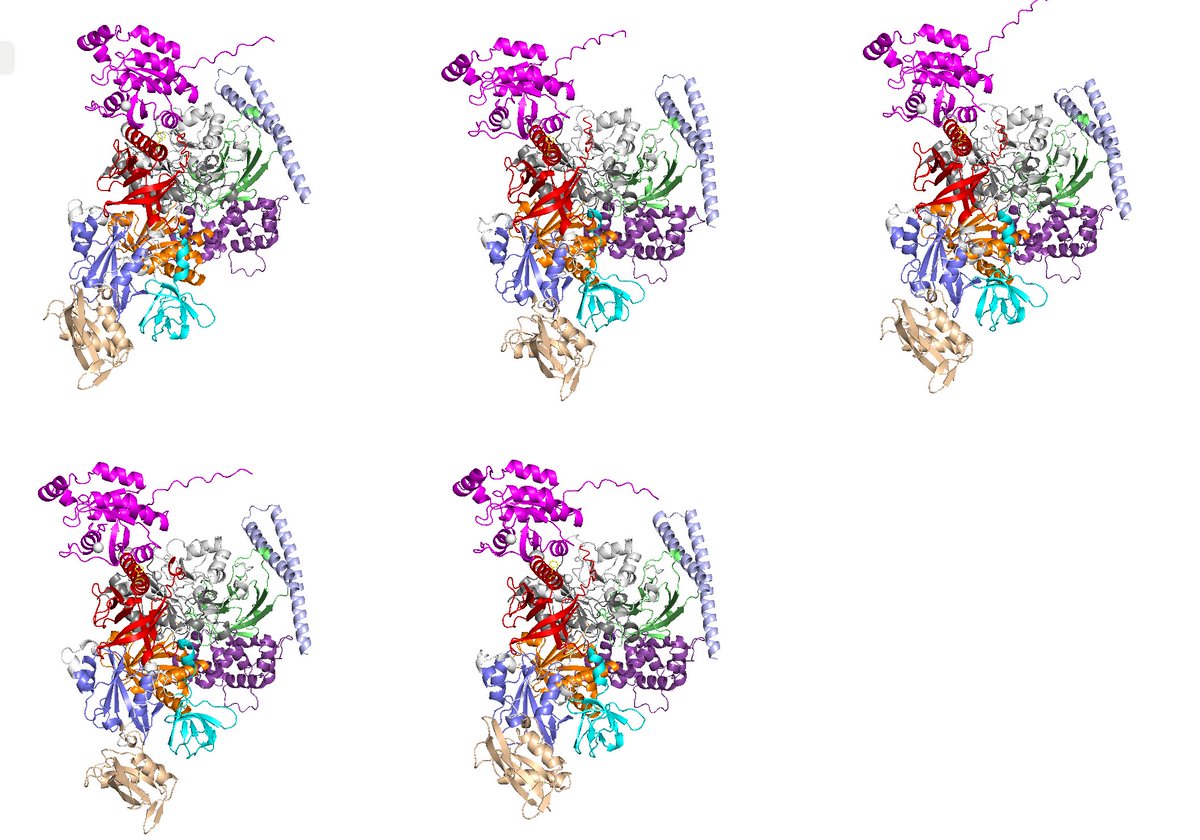 RolandDunbrack's tweet image. So I was chatting with somebody who was showing me some structures, and he typed "set grid_mode,1" in pymol and it shows all the active objects in a grid, and they all rotate and move at the same time with the mouse. I was like, "I didn't know it could do that..."
