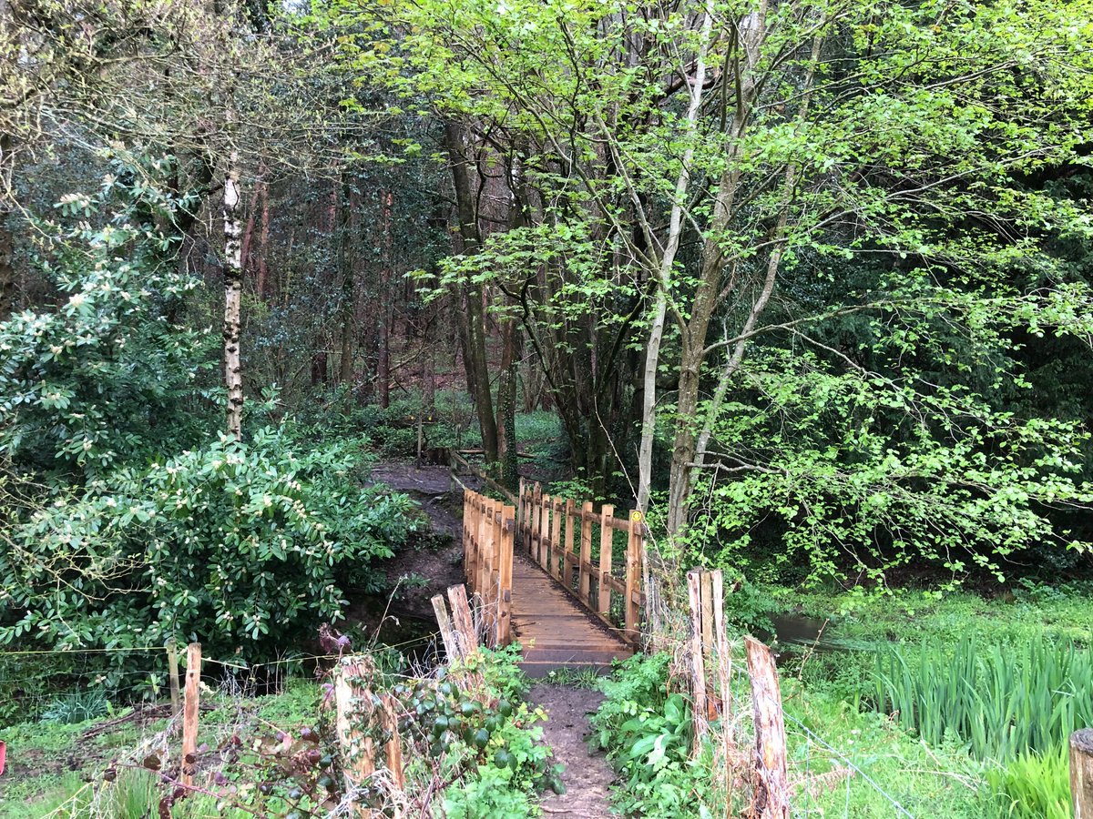 BritainMagazine's tweet image. Nestled in the picturesque Sussex village of Danehill, The Nest is a beautifully interior designed self-contained holiday cottage with its own private garden on the edge of Ashdown Forest, home of Winnie-the-Pooh. 

Find out more here: thenestdanehill.co.uk

#ad #paidpromotion