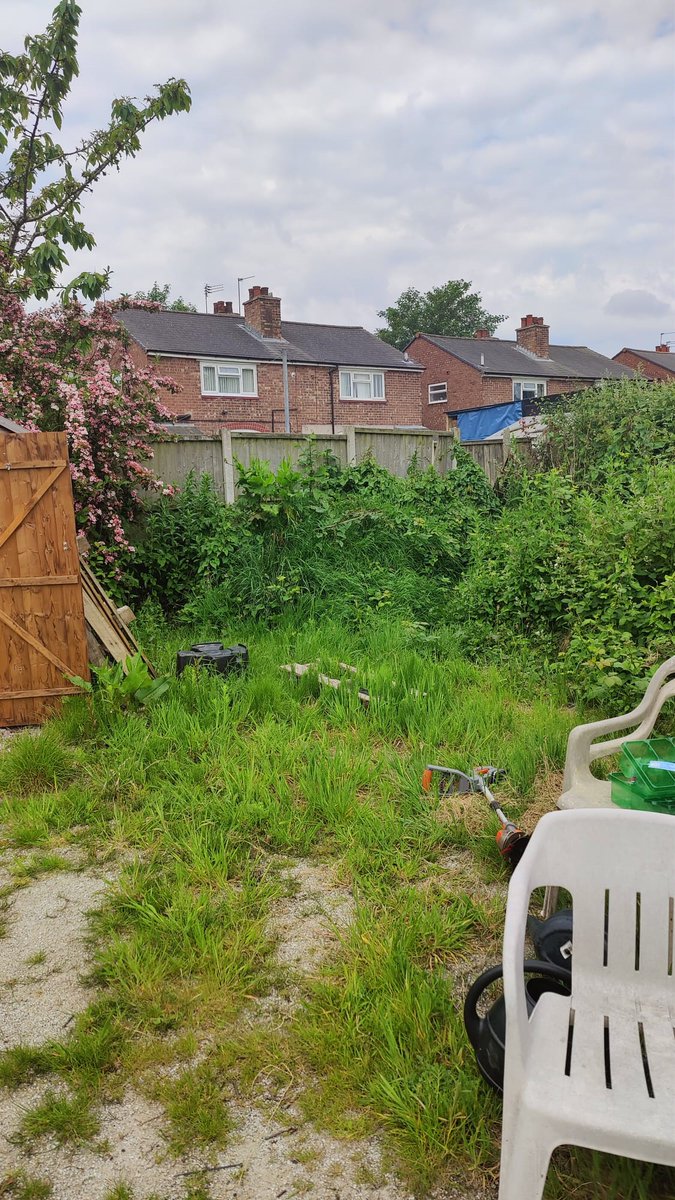 Chapter Mental Health tweet media