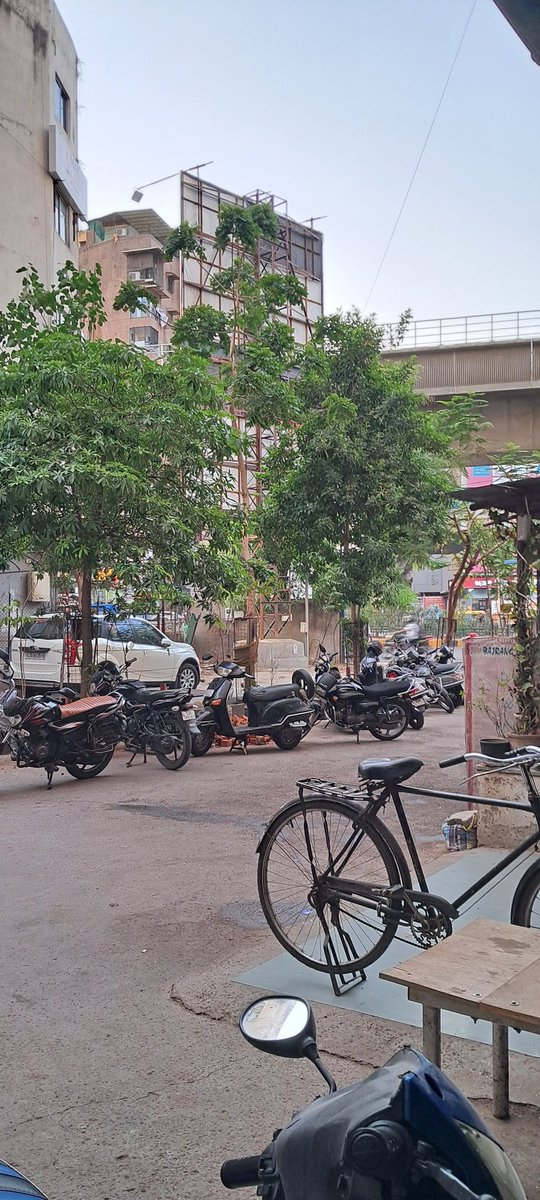 RajTMulchandani's tweet photo. 1/3
Planted 5 #trees when there was none, parking in sunlight. 
Now, everyone wants to push their vehicles under the shade.
Saplings were given by @AmdavadAMC under Plantation on demand program.
June 2018                 May 2024 https://t.co/h9Bx49ORVc