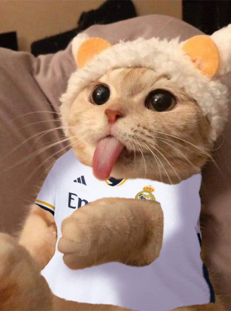 TongueCatLuis2's tweet photo. $LUIS favourite team is… Madrid FC ⚽️🐈👅

What’s your favourite football team? 👇

🎁 Giving away 100$ in 24h between answers + RTs😏 https://t.co/bN3H8xySxr