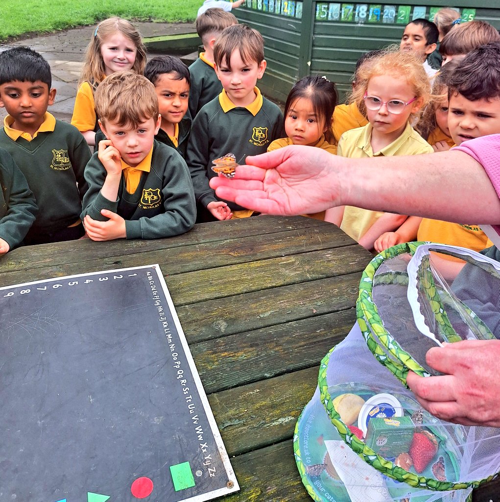 wlstnicholasps1's tweet image. P1 were mesmerised today as we set our butterflies free, having nurtured them for 4 weeks through their life cycle from caterpillars 🦋🐛 #SDGstnics #outdoorlearningstnics #sciencestnics #believingandachievingstnics