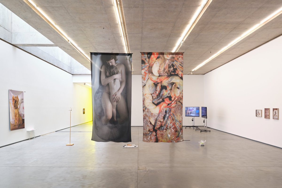 #mothertongue #Meettheartists
In Matrescence, installed in the Upper Gallery, Janie Doherty has installed two large-scale images suspended from the ceiling: an intimate photographic portrait of her and her daughter in the bath, and a close-up image of her daughter’s placenta.