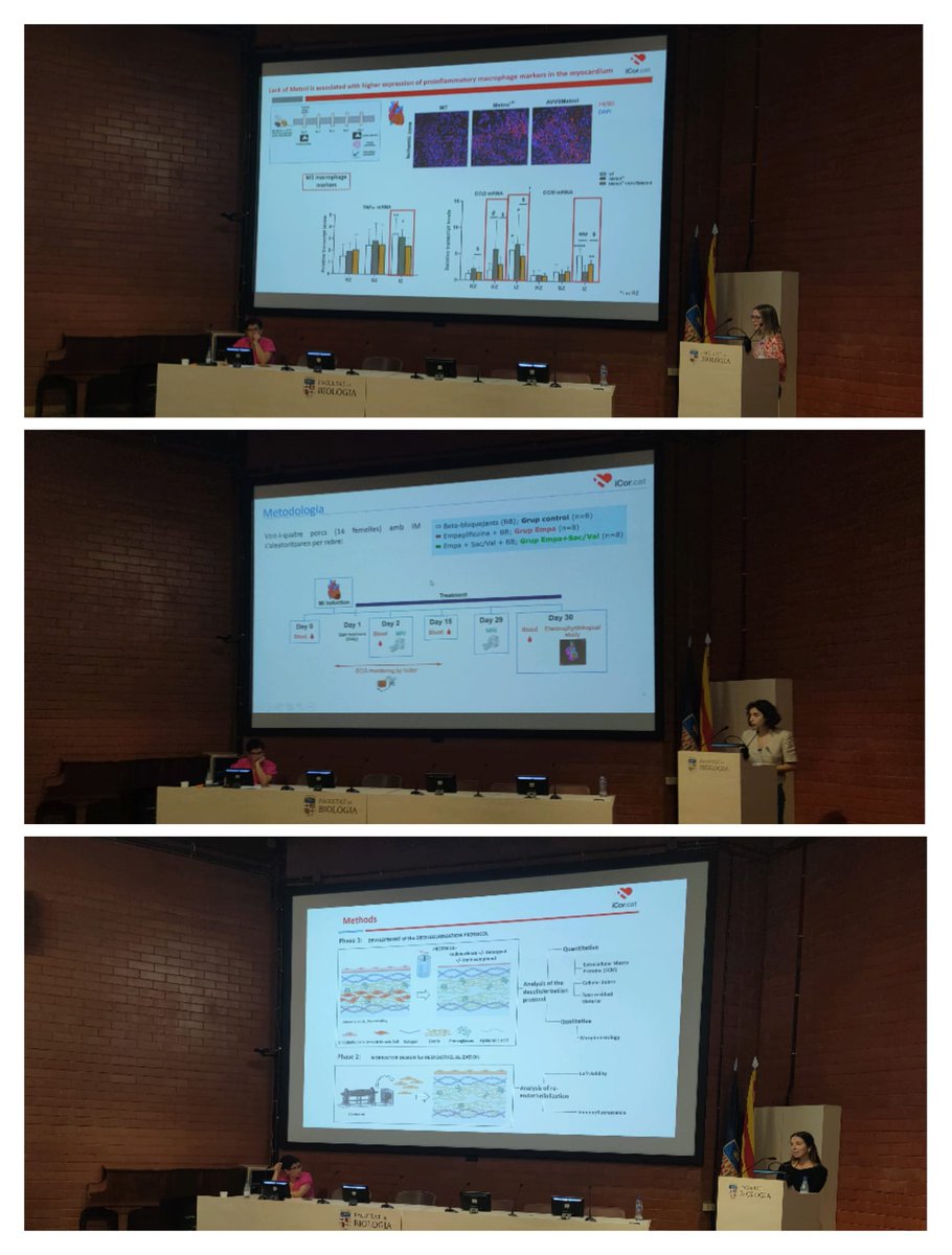 Sessions de comunicacions orals i pòsters de gran qualitat científica per a l'ocasió @Cardionet1 @catcardio