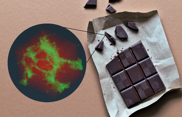 ISIS Neutron and Muon Source tweet media