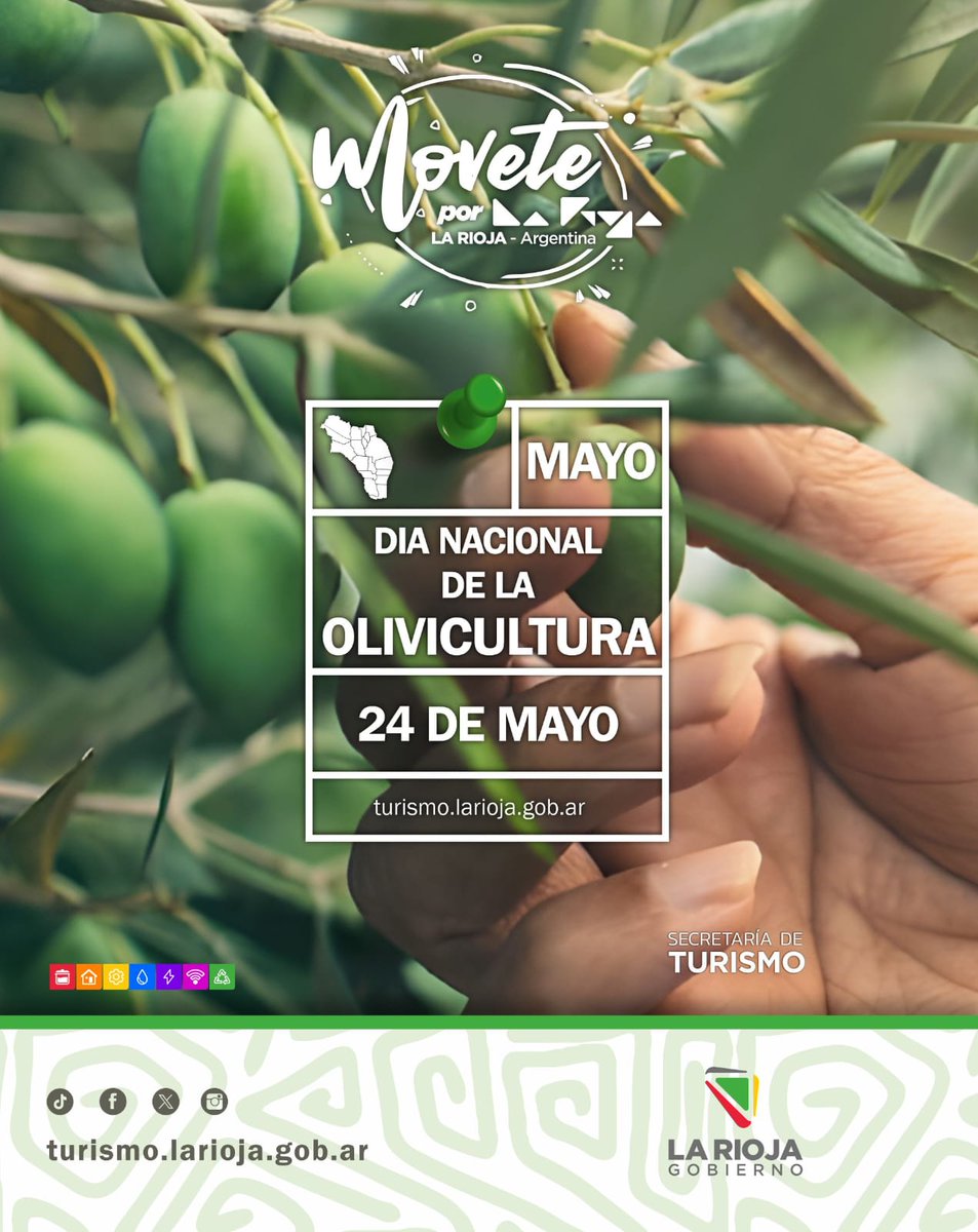 ¡Celebramos el Día Nacional de la Olivicultura en La Rioja! 🫒

La Rioja, tierra de olivos centenarios y aceite de oliva de excelencia, hoy celebra el Día Nacional de la Olivicultura 🤩.
