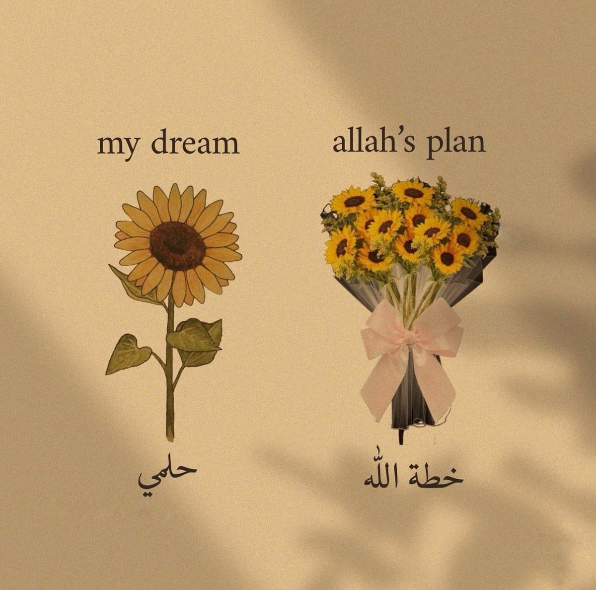 رسائل حُب (@todaymessagee) on Twitter photo 