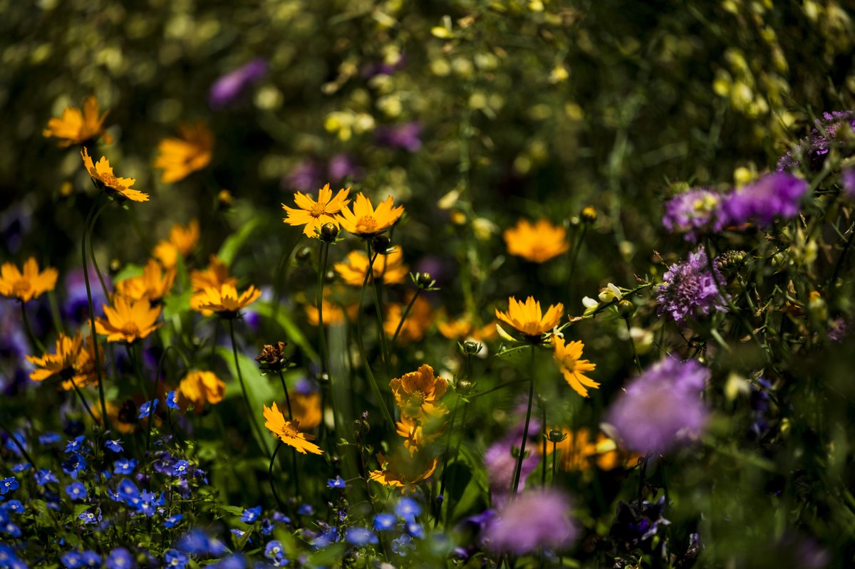 campus close-ups 📷