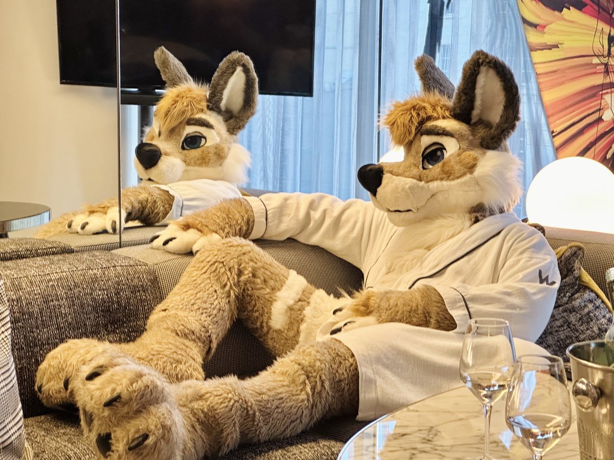 MaksiMelb's tweet photo. Seeing double? 👀

#FursuitFriday https://t.co/6ZvhH4qzKv