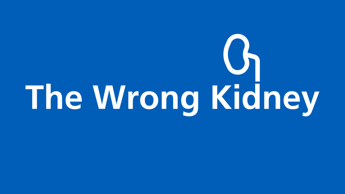 New Post: The Wrong Kidney The post introduces a short fictional film, ‘The Wrong Kidney’, created to help explore the complexities of accidents. humanisticsystems.com/2024/05/24/the…