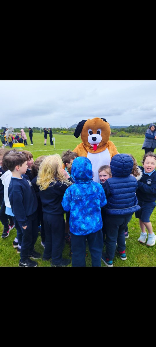 Ms Rigby (@msrigbysclass) on Twitter photo The intention was to take lots of photos but with the busy busy day we had, not many were taken. Thank you to everyone who came out today, the 6th class for running the stations and the PTA for the lovely treats. What a fun day!!! <a href="/followstannes/">St. Anne's Mixed N.S.</a> The intention was to take lots of photos but with the busy busy day we had, not many were taken. Thank you to everyone who came out today, the 6th class for running the stations and the PTA for the lovely treats. What a fun day!!! <a href="/followstannes/">St. Anne's Mixed N.S.</a>