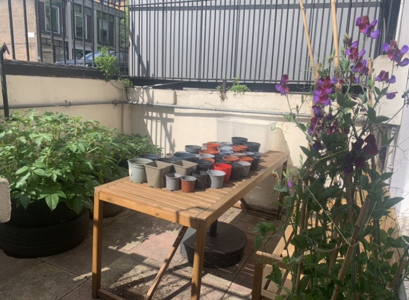 Our members gardening group is growing and nurturing the loveliest flower, herb and veg city garden. It’s particularly special as people passing by used to throw rubbish into this space- now we have turned it into something beautiful 🌱 hope is a practice 🌱