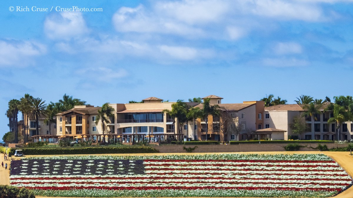 CrusePhoto's tweet photo. Wishing you a Happy #MemorialDayWeekend! @VisitCarlsbad #TheFlowerFields #StormHour #ThePhotoHour @VisitCA @visitsandiego https://t.co/8UKKMHne8r