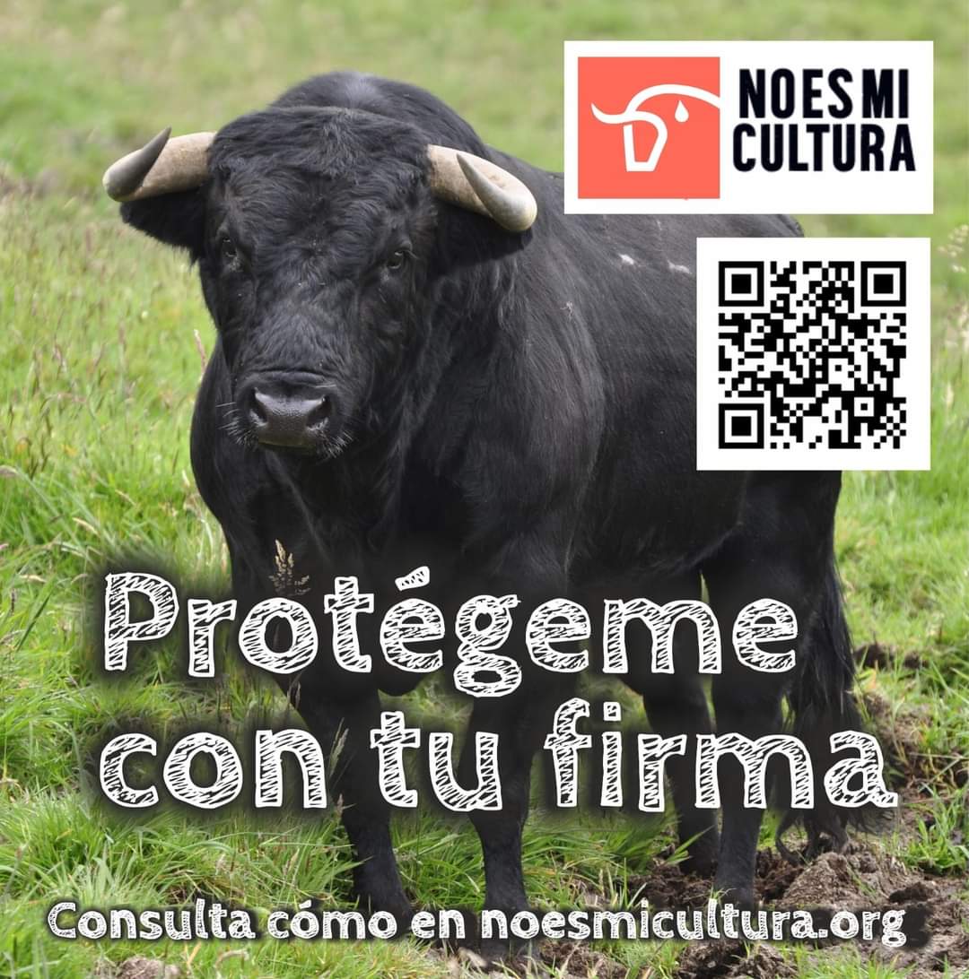No es micultura