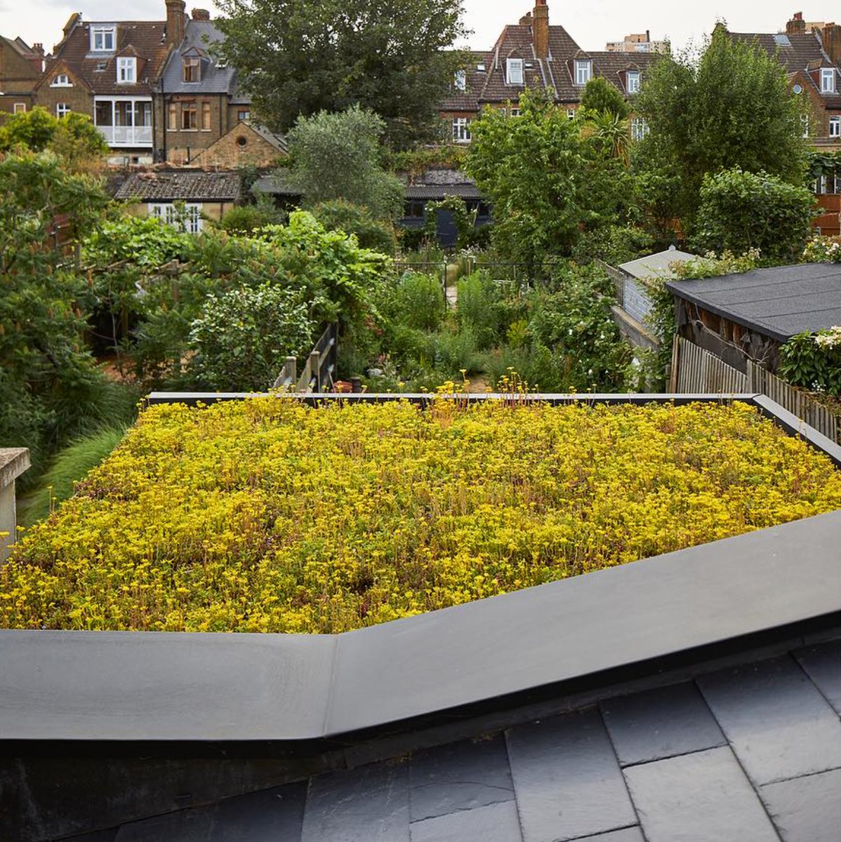 GrufeKit's tweet photo. 🌱 Fact Friday 🌱

Viewing green infrastructure can improve concentration levels by 6% whilst viewing bare concrete can reduce concentration levels by 8%.

#grufekit #greenroof #greenroofs #greenspace #wildflower #sedum #biodiversity #environment #gardendesign #homedesign https://t.co/72xq4oDZ5O