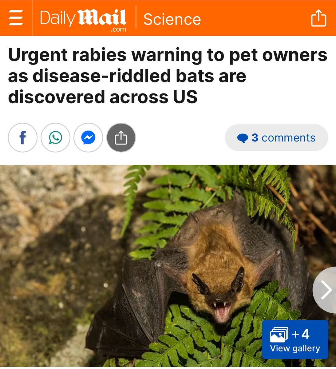 Rabies outbreak in US: Disease-infected bats found? Interesting timing I feel as many pet owners, including myself have stopped complying with these shots. Is there something else going on here caused by 'something' and they are preparing for a fear campaign? While were at it,