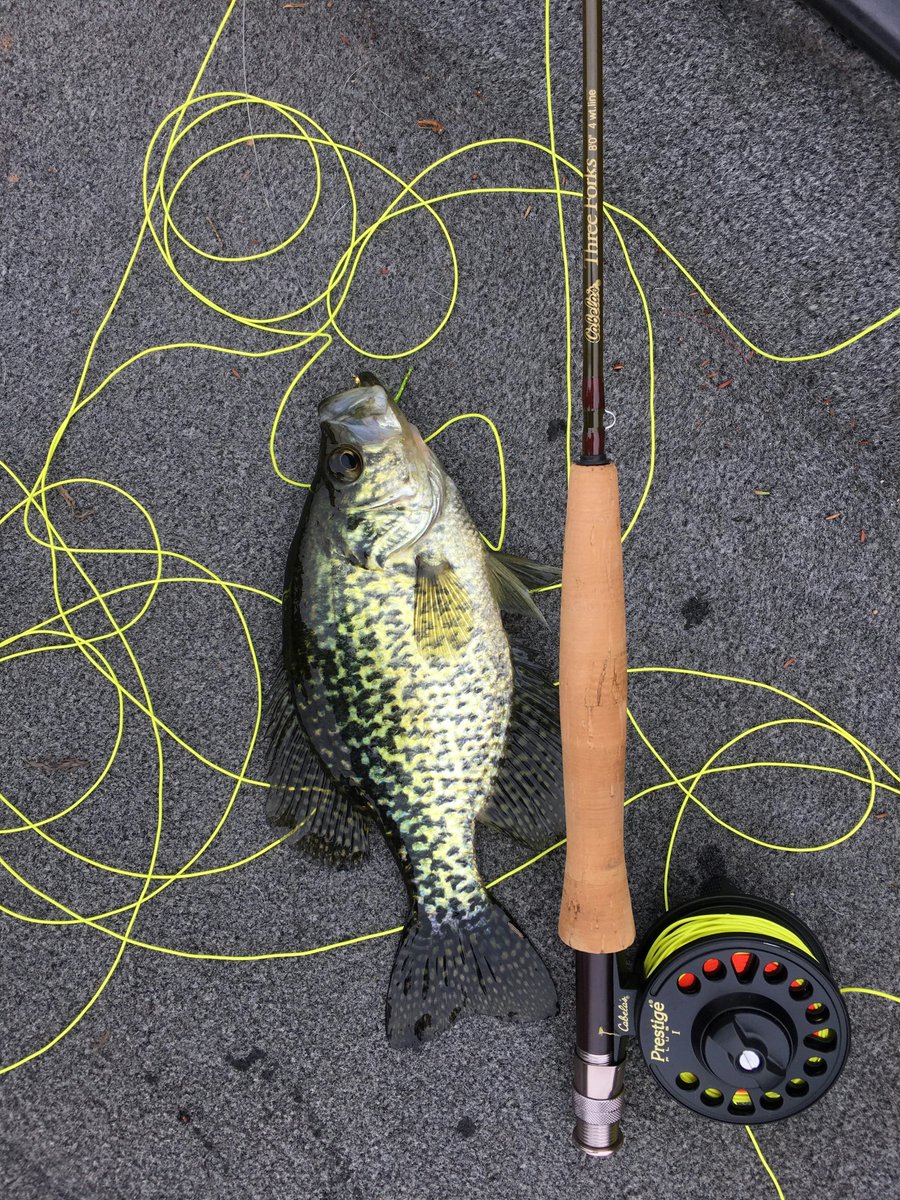 iconicfishingpr's tweet photo. We have a wide range of high-quality fishing gear available for sale at https://t.co/taDahXOhQf. Whether you are a beginner or a seasoned angler, we have the right equipment for you. From rods and reels to lures and more we've got you covered. visit today and stock up. #fishing https://t.co/Wj5MAxcR3u