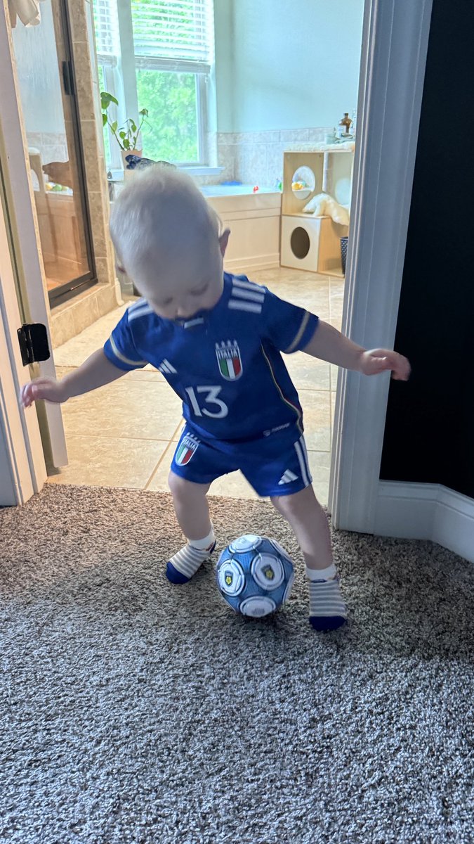 BigCritic's tweet photo. ⁦@Azzurri_En⁩ Can’t start training too early! ⁦@Rockr_Jen⁩ https://t.co/0QiT7f8kiE