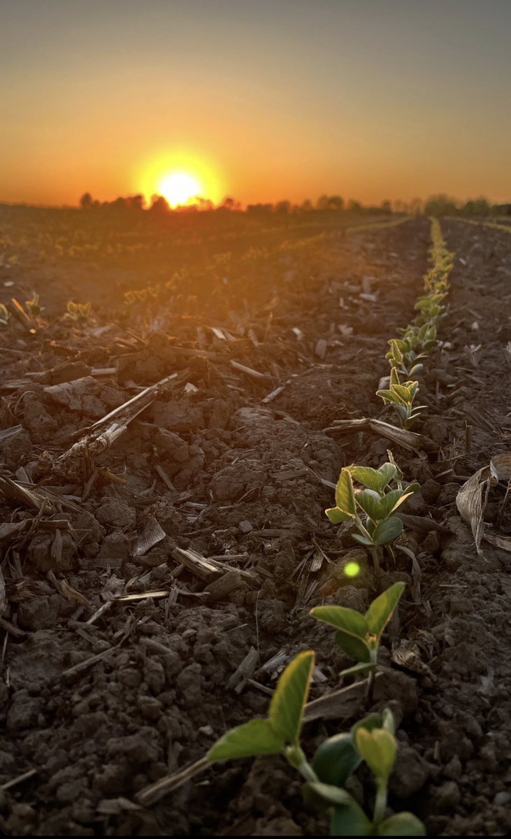 mikej225's tweet photo. We have lift off #Plant24 https://t.co/YsEN3RHIZy