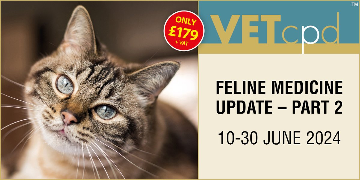 Feline Medicine Update – Part 2

This five module course is practical and full of tips and tricks to take back to practice.

vetcpd.co.uk/product/feline…