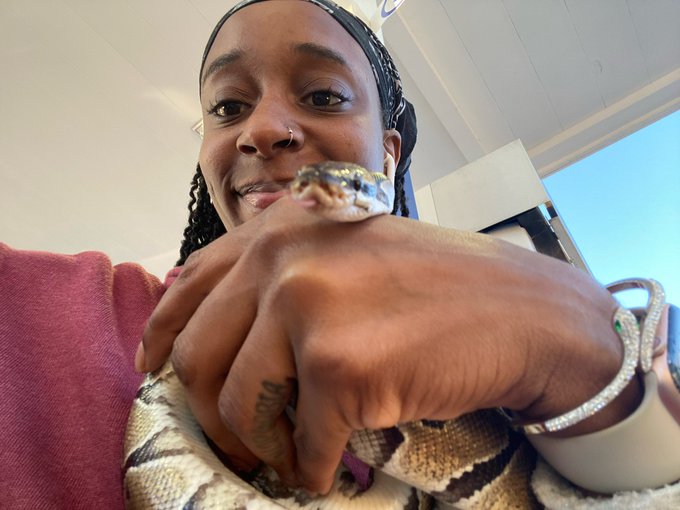 🐍⭐️⭐️⭐️⭐️⭐️💸💸 https://t.co/C3LeASIGgD