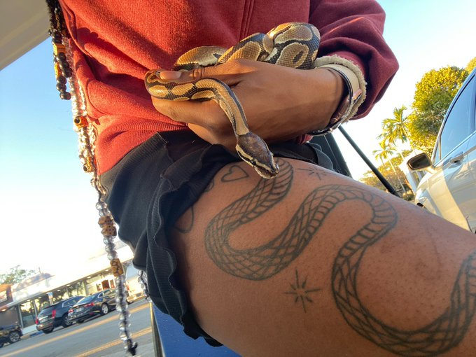 🐍⭐️⭐️⭐️⭐️⭐️💸💸 https://t.co/C3LeASIGgD