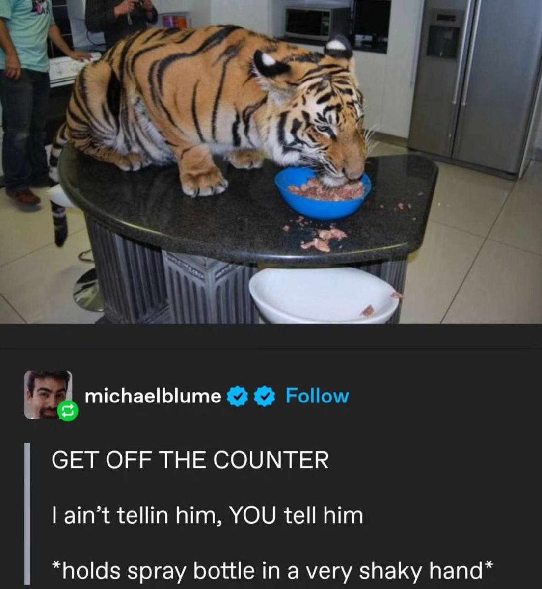 michelle_byoung's tweet photo. He can be on the counter 🤷🏾‍♀️😂 https://t.co/hMeErOL686