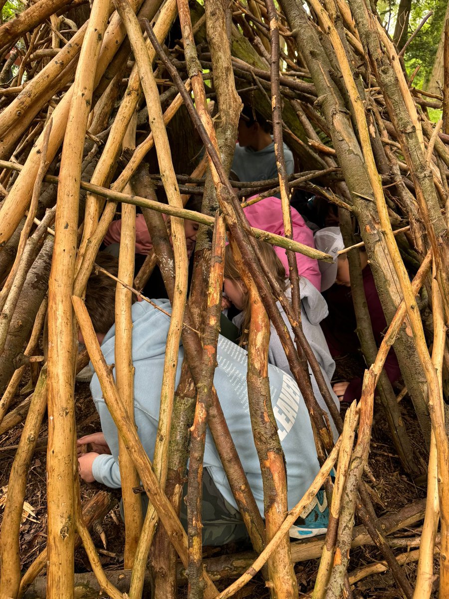 Linton Heights tweet media