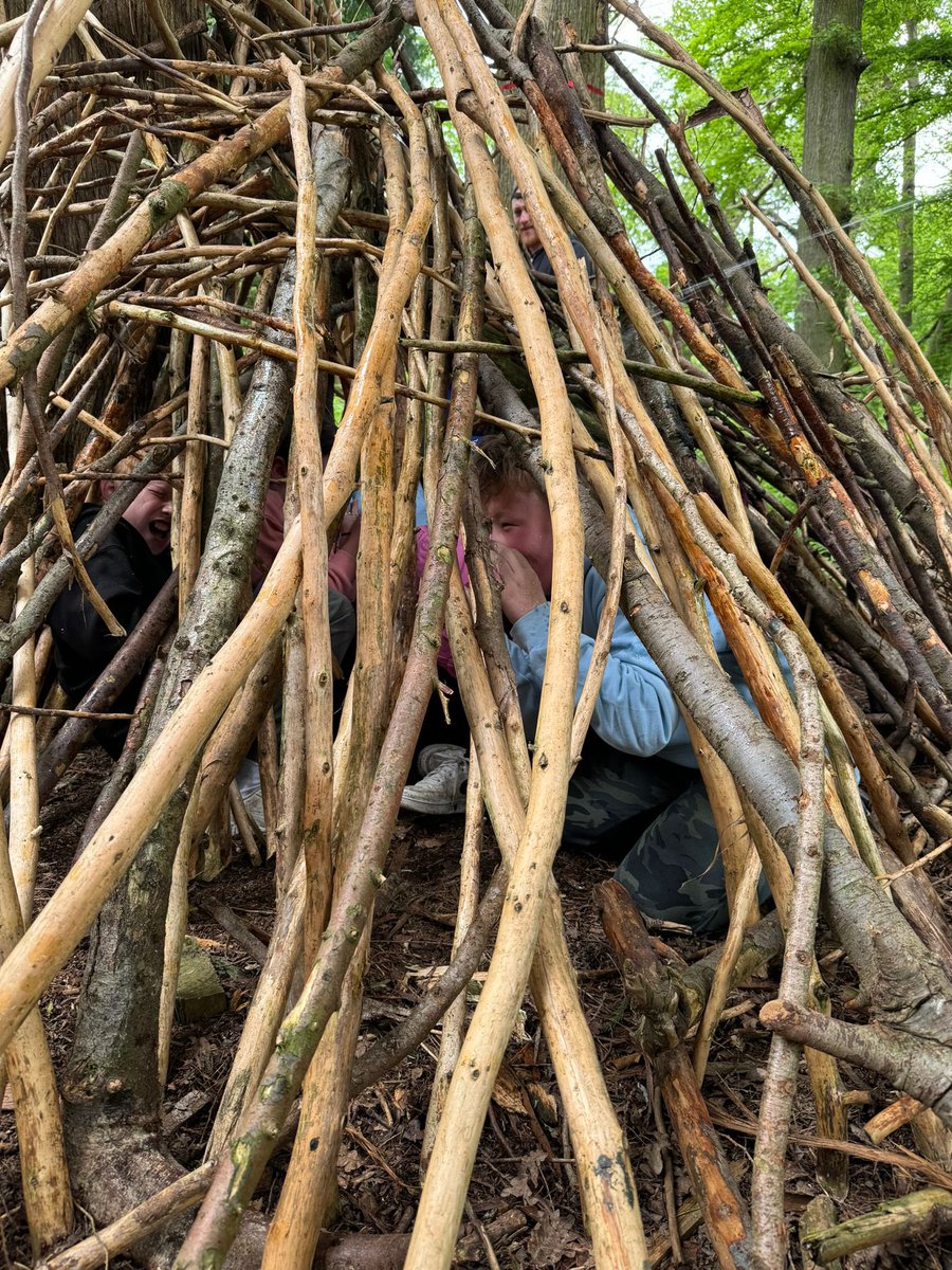 Linton Heights tweet media