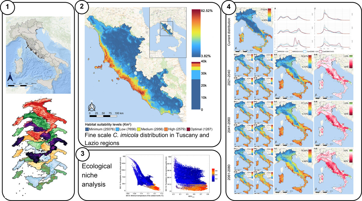 New #OpenAccess work by I. Del Leston, @RomitiFederico et al. reports on ecological #niche modelling of #Culicoides imicola and future range shifts under #ClimateChange scenarios in Italy: doi.org/10.1111/mve.12… #InsectVectors #InsectBorneDisease #NDVI #CMIP6 @WileyEcolEvol
