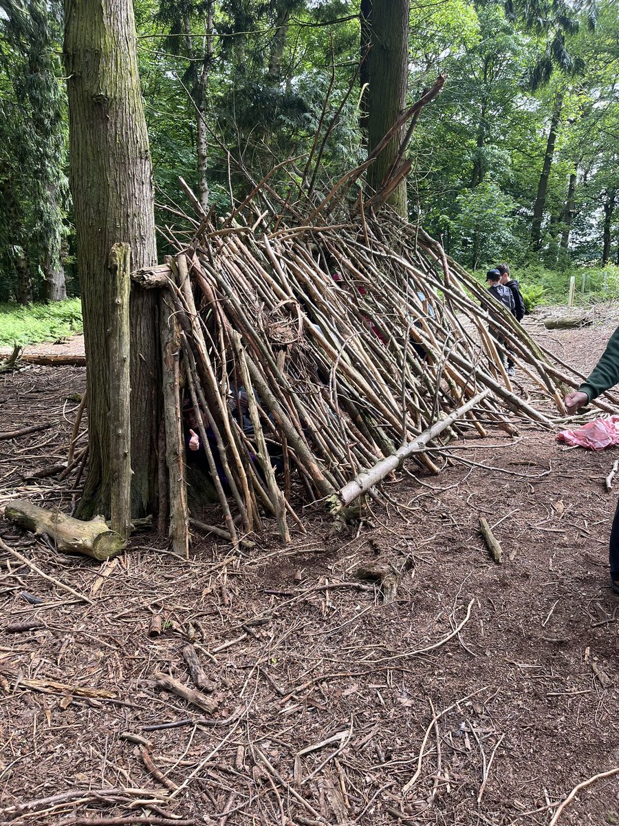 Linton Heights tweet media