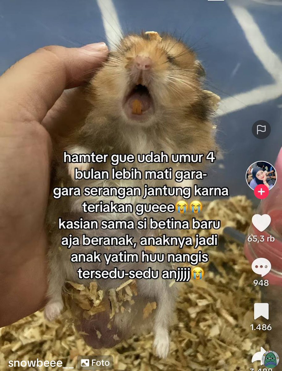 Tanyarlfes tweet media