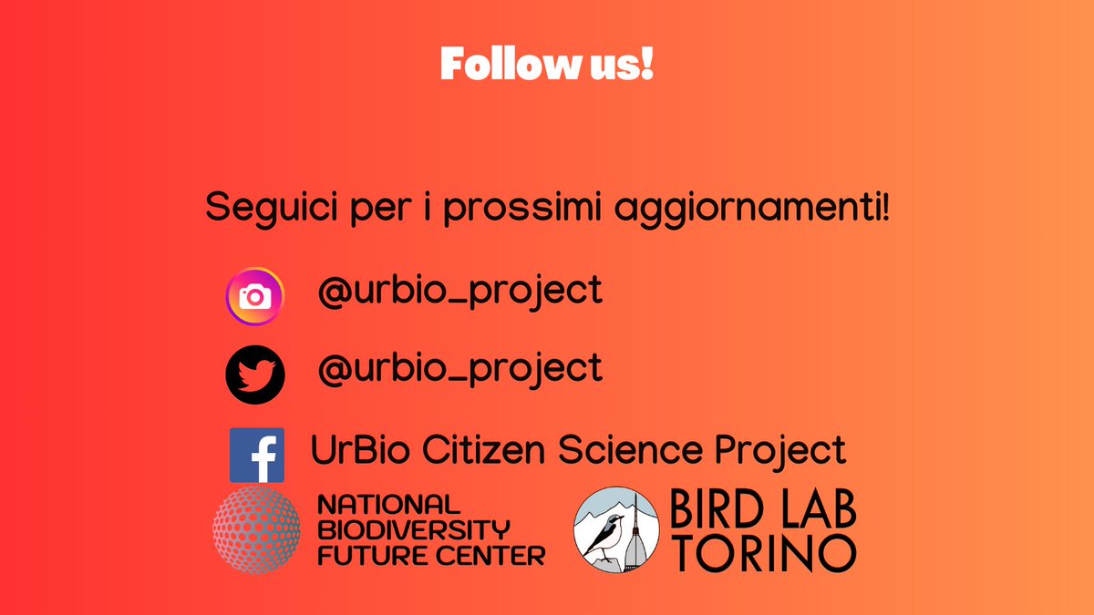 L'Ibis sacro è una specie aliena invasiva in Italia👽‼️ Scopriamo qualche curiosità su questo uccello!
Vuoi aiutarci a monitorare lo stato della popolazione di Ibis e di altre specie?▶️urbio.unimi.it

#alienspecies #urbanbiodiversity #citizenscience