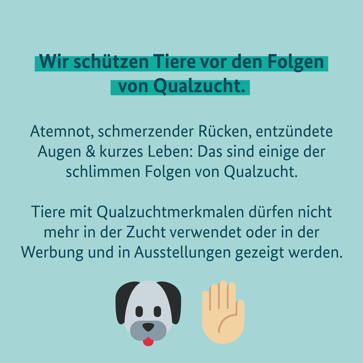 BMLEH_Bund's tweet photo. Mehr #Tierschutz! Wir verbessern das #Tierschutzgesetz. U.a. schützen wir Tiere vor den Folgen von Qualzucht, dämmen kriminelle Geschäfte mit Tierleid im Online-Handel ein &amp; beenden die schmerzhafte Enthornung von Kälbern ohne Betäubung.

FAQs zum Thema ➡ https://t.co/9odxYbW1bV https://t.co/GLj0J86Orl