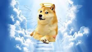 News Alert: Kabosu, the dog from the Dogecoin meme that inspired $DOGE and Shiba Inu, has passed away. We will miss you. RIP