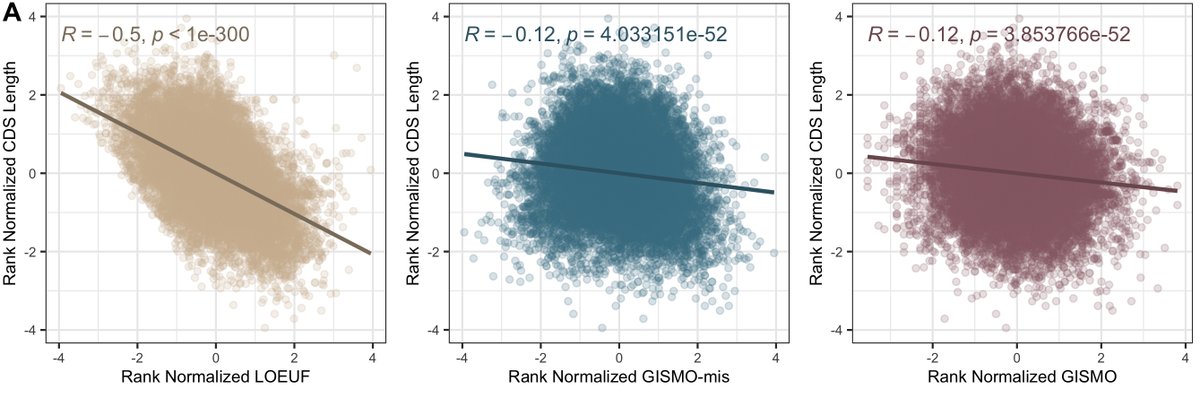 liao_cal's tweet photo. Given the strong coding sequencing length bias in current human metrics, we were excited to find that GISMO and GISMO-mis don’t have as strong of a gene length bias! This is likely due to >100 million years of evolutionary time and surveying variation that have fixated.  (6/n) https://t.co/29N60Nxcpx