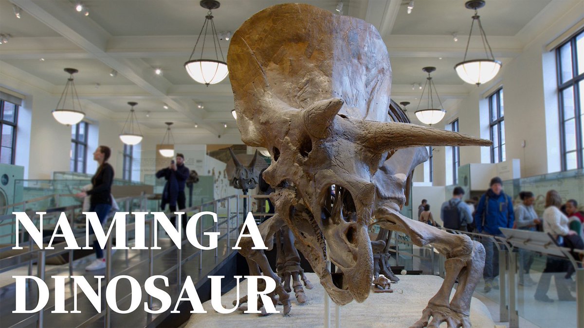 Tyrannosaurus rex, Stegosaurus, Velociraptor—what’s in a dinosaur name? Join Museum paleontologist Roger Benson as he explains the process for naming a dinosaur species, and the different sources of inspiration scientists draw on to come up with memorable names for the fossils