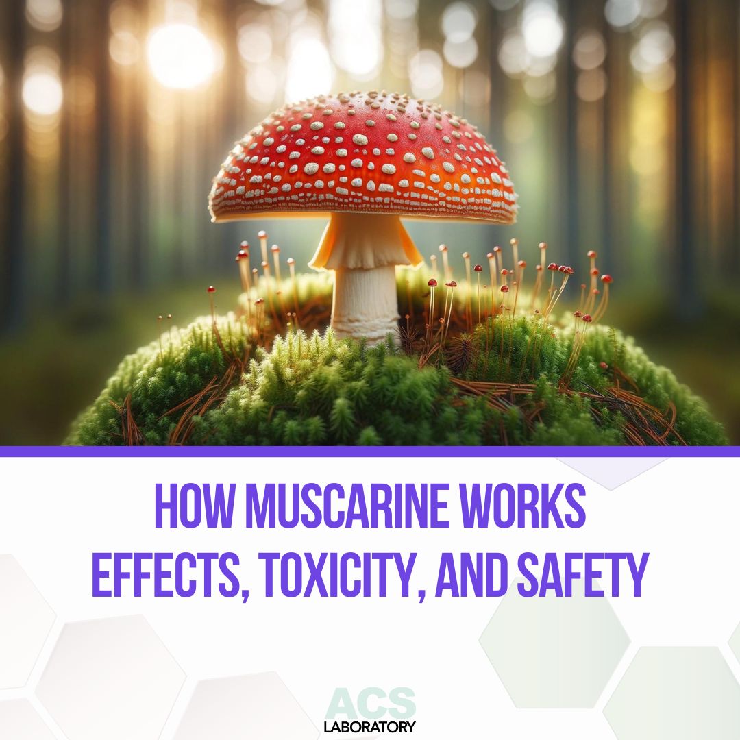 Have you heard of Muscarine? This intriguing alkaloid from Amanita muscaria mushrooms has a dual nature as a toxic biological agent and a potential medicinal ally. 

Read the full article. l8r.it/xepb

#muscarine #mushroomtesting #thirdpartylab #ACS #ACSLaboratory