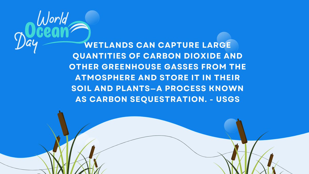 SanDiego350 tweet media