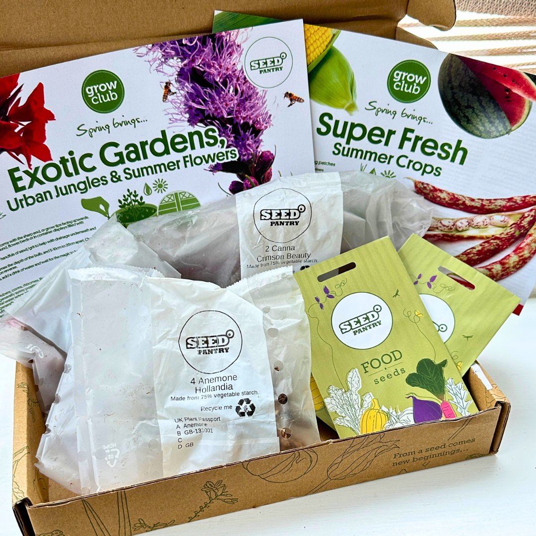 Seed Pantry® tweet media