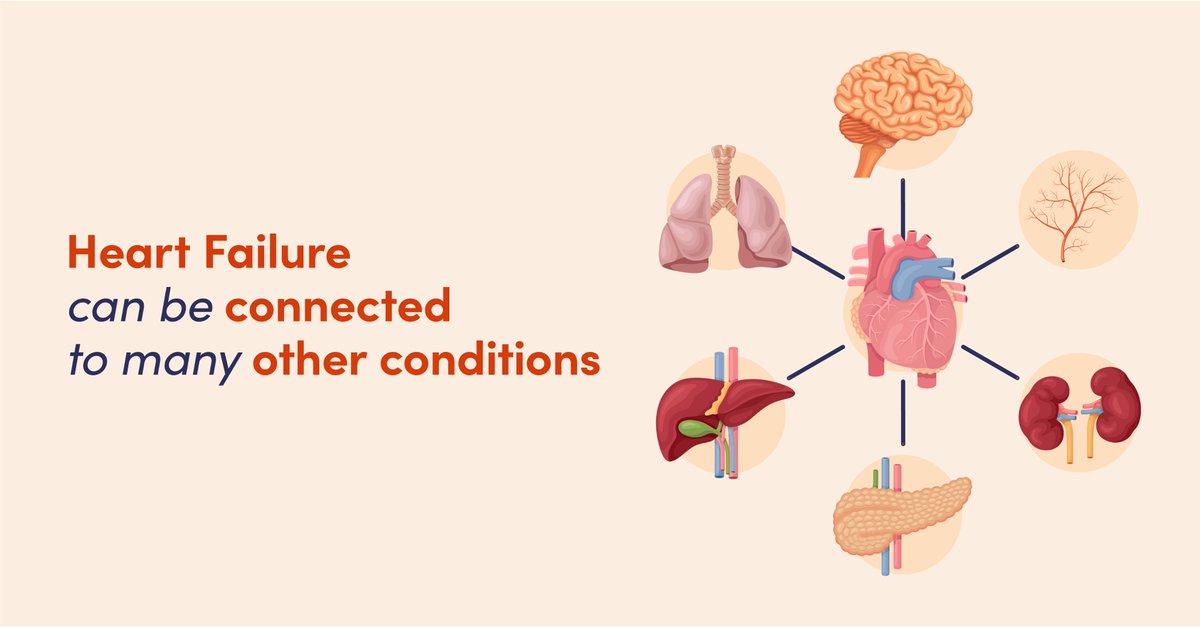 Hearts are connected to every other part of our body. So #heartfailure often develops from, or leads to, other health conditions, such as #obesity. These connected conditions are called #comorbidities. They need to be treated too. Learn more ⬇️ #HFAwarenessWeek #HFComorbidities