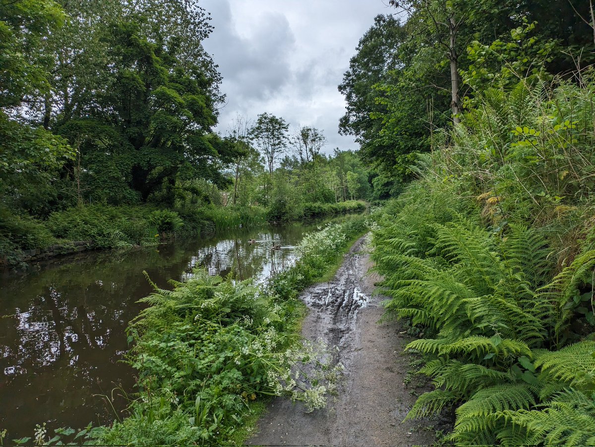 Lets_getcycling's tweet image. What better way to get to #Staybridge #Whit Brass Band competition then by bike along the Huddersfield canal!