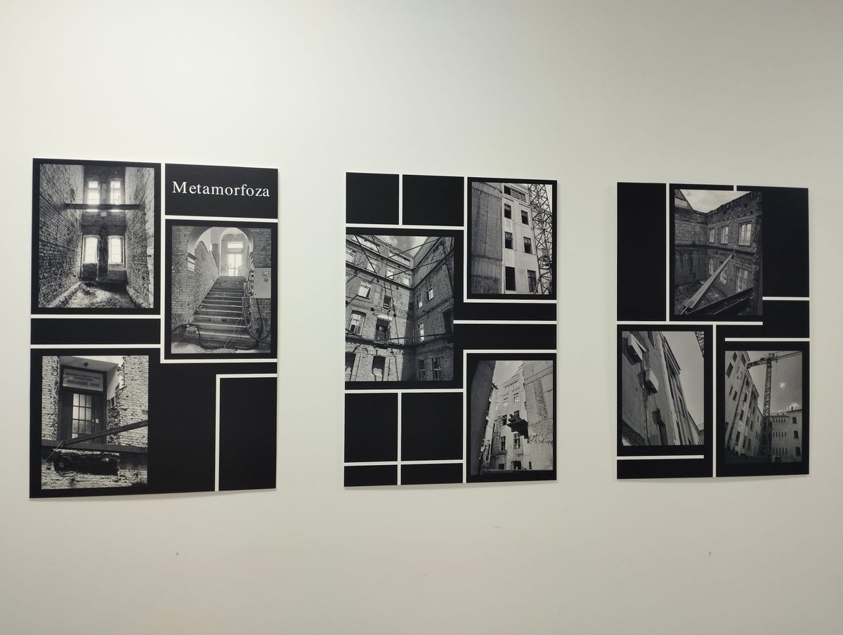 din_dry's tweet image. Today, the Zoology Division at the Faculty of Science opened an exhibit celebrating their 150th anniversary, which the DinDRY team helped create. Our project leader, Andreja, was the creative force behind this remarkable display! 🎉🦋#Zoology #ScienceExhibit #FacultyOfScience