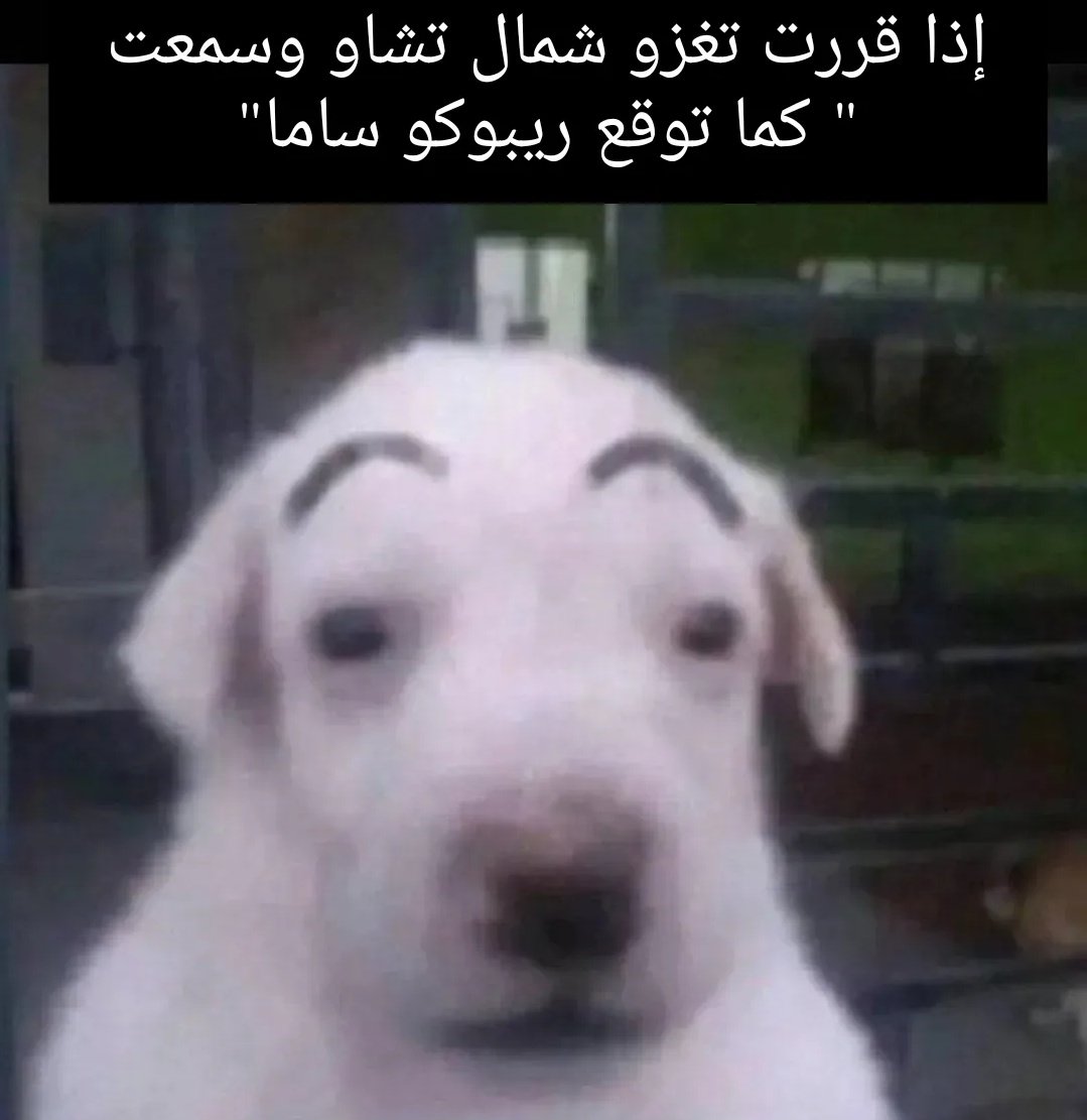 #حرق_كينقدوم