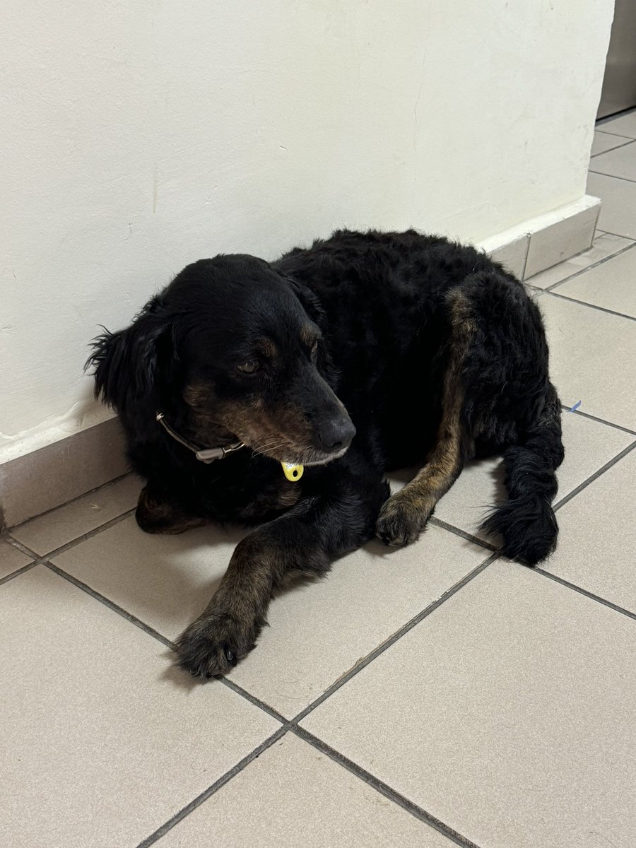 IPiE: Voices from the Classroom tweet media