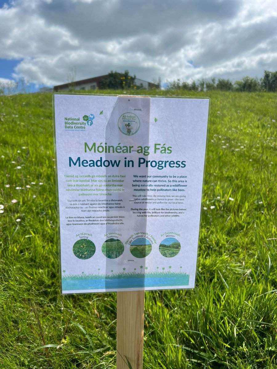 Castletroy College’s new “No Mow” zone encouraging pollination and biodiversity 🐝🌸 Thanks to Richie and Mr. English for the help with the signs